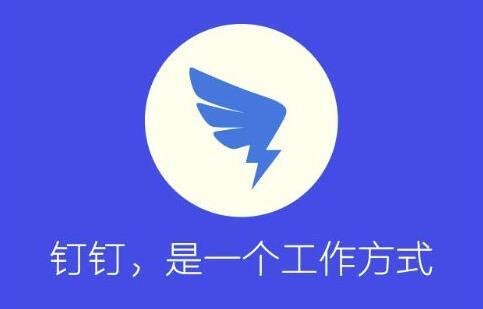 從OA到釘釘管理軟件哪些好用？