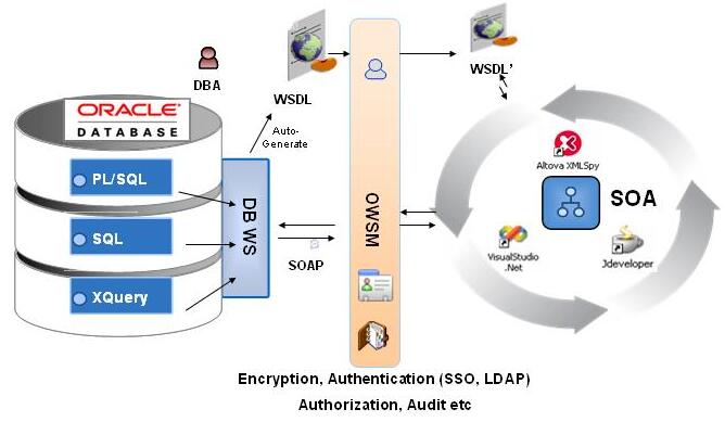 C/S軟件開發(fā) C/S軟件開發(fā)